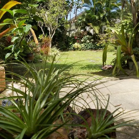 Trinidad Carnival Rental